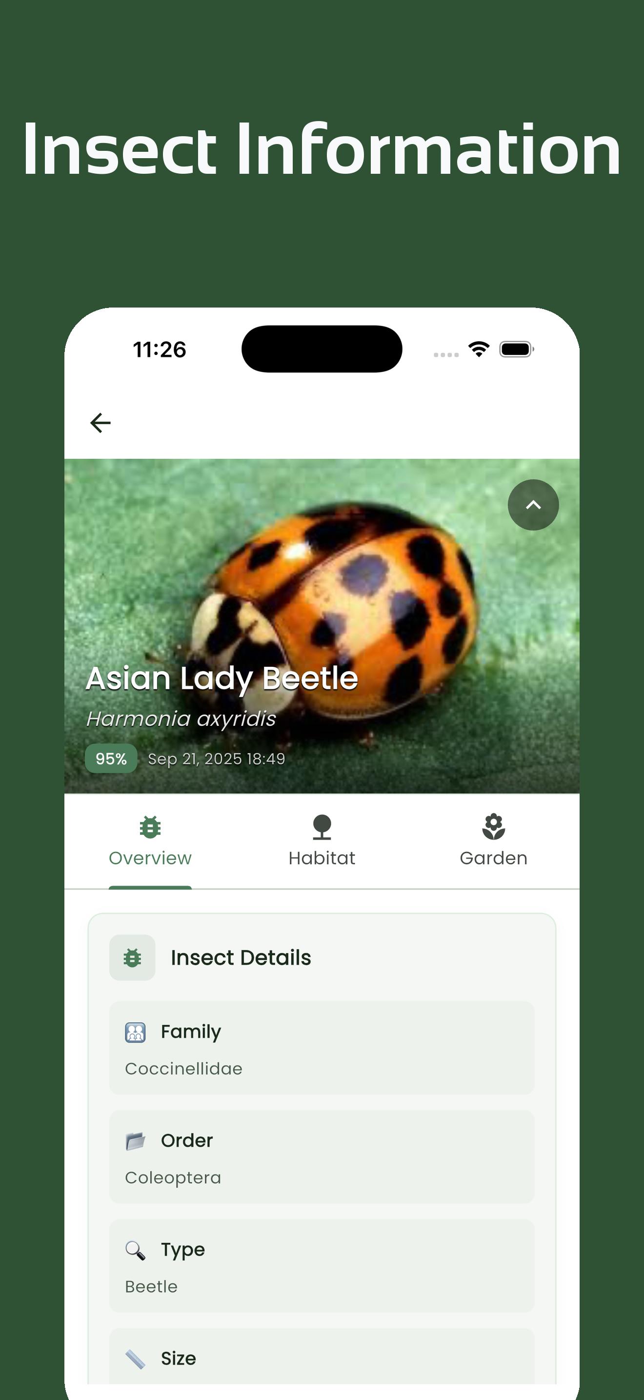 InsectsLen Screenshot 3